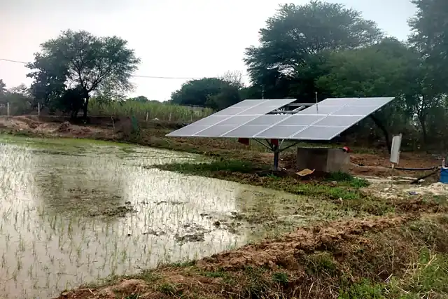 Solar Irrigation Pump — Paddy Field